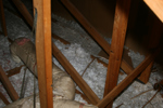 IMG_1560, Unit G Matting, Filthy Duct Insulation.JPG